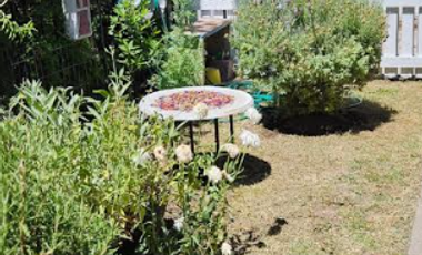 INMEJORABLE CASA CON PISCINA LA FLORIDA