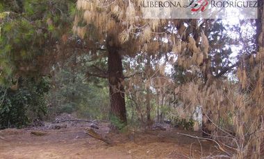 Parcela en Venta en Terreno en zona productiva portuaria de Placilla