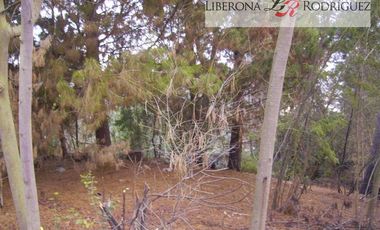 Parcela en Venta en Terreno en zona productiva portuaria de Placilla