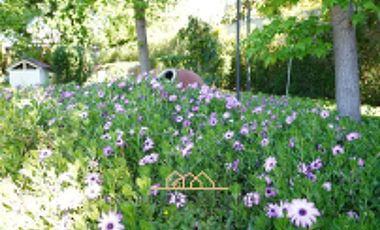 Casa en Venta en balmaceda