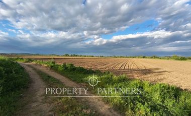 Oportunidad Agrícola en Linares