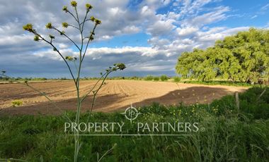 Oportunidad Agrícola en Linares