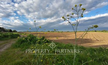 Oportunidad Agrícola en Linares