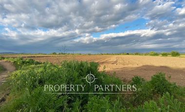 Oportunidad Agrícola en Linares