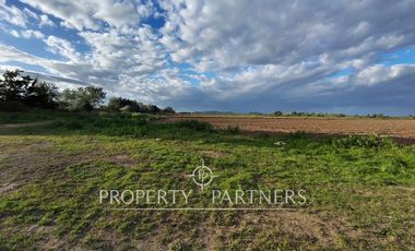 Oportunidad Agrícola en Linares