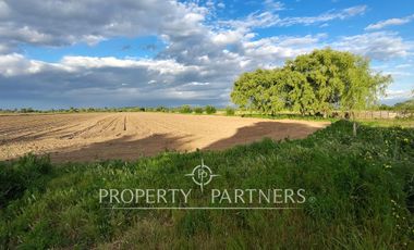 Oportunidad Agrícola en Linares