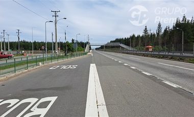 Parcela en Venta en Sector Valencia. Comuna de Cabrero. Hijuela El Alamo. El Quillay LT 2