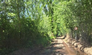 Parcela en Venta en Sector Valencia. Comuna de Cabrero. Hijuela El Alamo. El Quillay LT 2