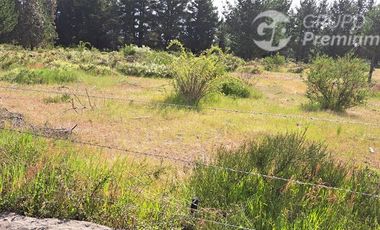 Parcela en Venta en Sector Valencia. Comuna de Cabrero. Hijuela El Alamo. El Quillay LT 2