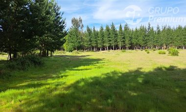 Parcela en Venta en Sector Valencia. Comuna de Cabrero. Hijuela El Alamo. El Quillay LT 2