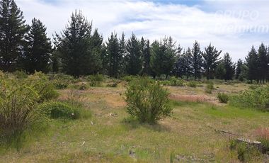 Parcela en Venta en Sector Valencia. Comuna de Cabrero. Hijuela El Alamo. El Quillay LT 2