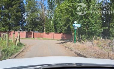 Parcela en Venta en Sector Valencia. Comuna de Cabrero. Hijuela El Alamo. El Quillay LT 2