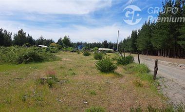 Parcela en Venta en Sector Valencia. Comuna de Cabrero. Hijuela El Alamo. El Quillay LT 2