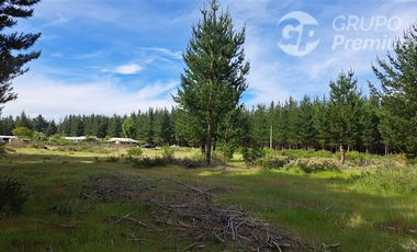 Parcela en Venta en Sector Valencia. Comuna de Cabrero. Hijuela El Alamo. El Quillay LT 2