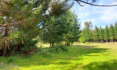 Parcela en Venta en Sector Valencia. Comuna de Cabrero. Hijuela El Alamo. El Quillay LT 2