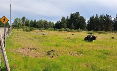 Parcela en Venta en Sector Valencia. Comuna de Cabrero. Hijuela El Alamo. El Quillay LT 2