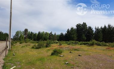 Parcela en Venta en Sector Valencia. Comuna de Cabrero. Hijuela El Alamo. El Quillay LT 2