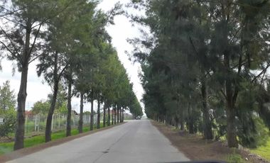 Terreno en venta - 619.32mts2 - Barrio San Simón, Canning