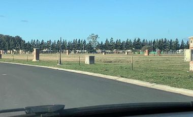 Terreno en venta - 619.32mts2 - Barrio San Simón, Canning