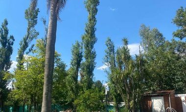 Casa en venta - 4 Dormitorios 3 Baños - 2.700Mts2 - Moreno