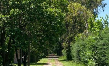 Casa en venta - 4 Dormitorios 3 Baños - 2.700Mts2 - Moreno