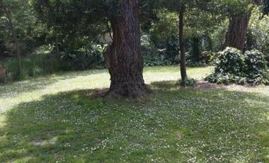 Casa en venta - 4 Dormitorios 3 Baños 1 Cochera - 450Mts2 - Mar del Plata