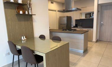 AMUEBLADO CARSO TOREO, AMENIDADES