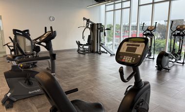 AMUEBLADO CARSO TOREO, AMENIDADES