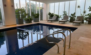 AMUEBLADO CARSO TOREO, AMENIDADES