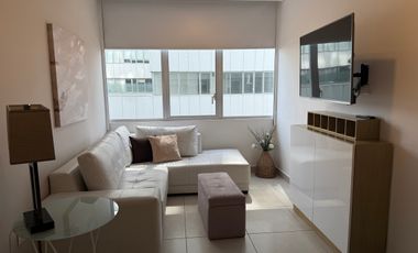 AMUEBLADO CARSO TOREO, AMENIDADES