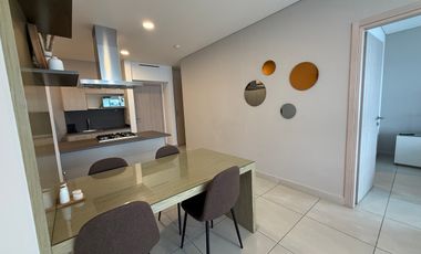 AMUEBLADO CARSO TOREO, AMENIDADES