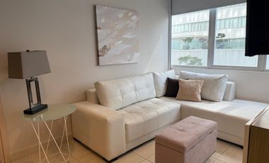 AMUEBLADO CARSO TOREO, AMENIDADES