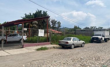 Terreno sobre Av. Alberto Cárdenas Jiménez Cd. Guzman