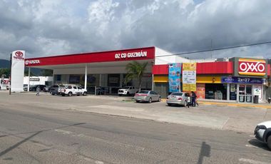 Terreno sobre Av. Alberto Cárdenas Jiménez Cd. Guzman