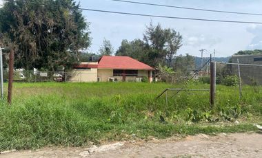 Terreno sobre Av. Alberto Cárdenas Jiménez Cd. Guzman
