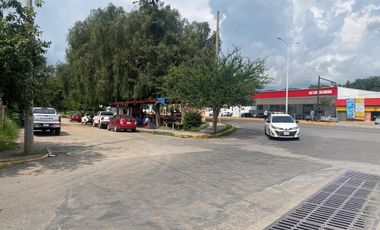 Terreno sobre Av. Alberto Cárdenas Jiménez Cd. Guzman