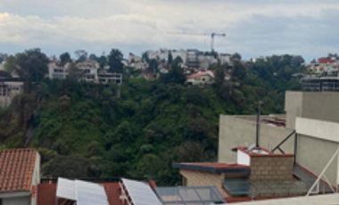 ESTRENE!  LA HERRADURA