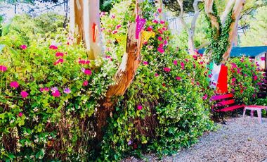 Complejo de dúplex - 8 Dormitorios 8 Baños 6 Cocheras - 675Mts2 - Mar Azul