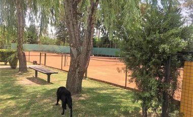 Casa en alquiler - 1 Dormitorio 1 Baño - 80Mts2 - Berazategui