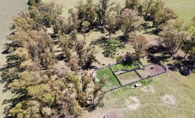 Campo de 50 hectareas a 10 km de Saladillo - Colonia Maria Luisa