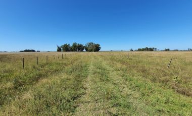 Campo de 50 hectareas a 10 km de Saladillo - Colonia Maria Luisa