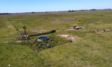 Campo de 50 hectareas a 10 km de Saladillo - Colonia Maria Luisa