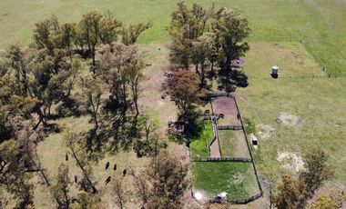 Campo de 50 hectareas a 10 km de Saladillo - Colonia Maria Luisa