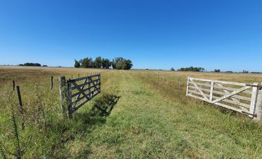 Campo de 50 hectareas a 10 km de Saladillo - Colonia Maria Luisa