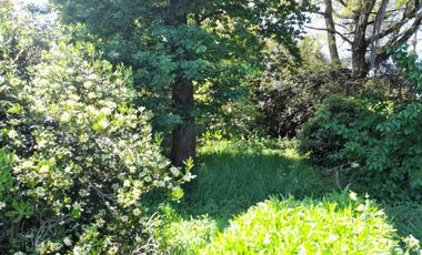 Casa en venta - 2 Dormitorios 1 Baño - 900Mts2 - Villa Elisa, La Plata