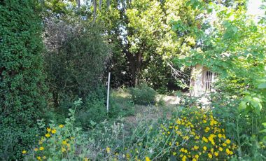 Casa en venta - 2 Dormitorios 1 Baño - 900Mts2 - Villa Elisa, La Plata