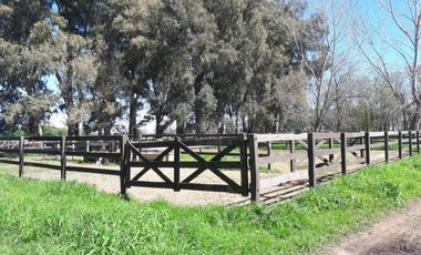 VENTA ESPLENDIDA ESTANCIA CON IMPORTANTE CASCO COLONIAL 25HAS PURO POLO