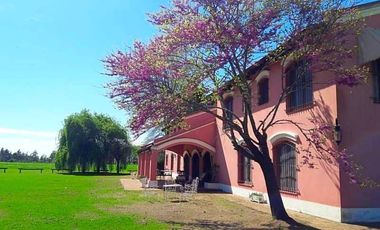 VENTA ESPLENDIDA ESTANCIA CON IMPORTANTE CASCO COLONIAL 25HAS PURO POLO