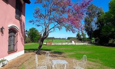 VENTA ESPLENDIDA ESTANCIA CON IMPORTANTE CASCO COLONIAL 25HAS PURO POLO