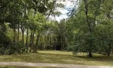 Terreno en venta - 1.527Mts2 - Los Pinos, Exaltación de la Cruz